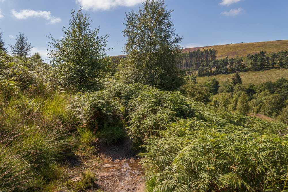 Goyt Valley Goyt Valley